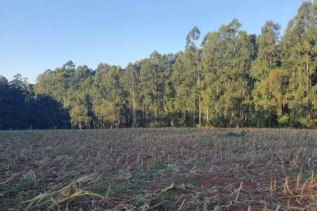 Área Rural à venda com 13.770m² no Interior em Guatambú - Foto 1