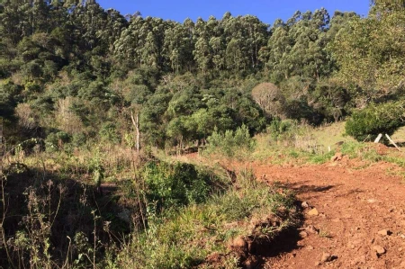 Área Rural à venda com 72.600m² no Interior em Arvoredo - Foto 3