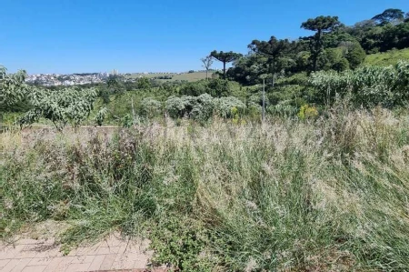 Terreno à venda com 586m² no Jardim Europa em Chapecó - Foto 2