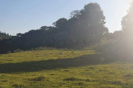 Área Rural à venda com 117.975m² no Interior em Chapecó - Foto 7