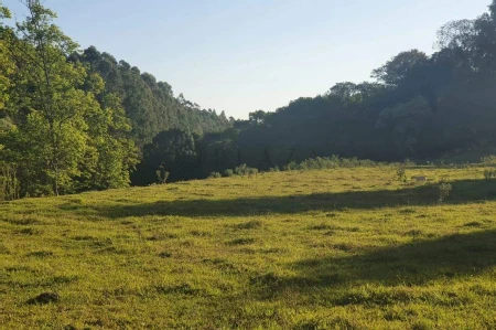 Área Rural à venda com 117.975m² no Interior em Chapecó - Foto 8