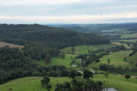 Área Rural à venda com 314.600m² na Linha Santos Dumont em Marema - Foto 1