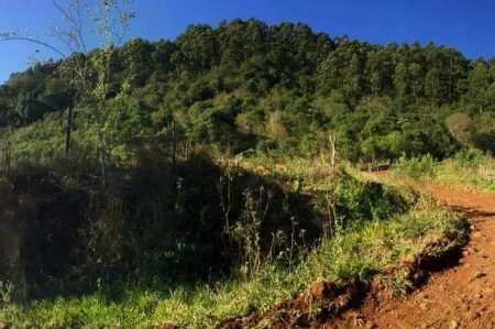 Área Rural à venda com 72.600m² no Interior em Arvoredo - Foto 1