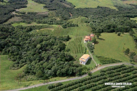 Área Rural à venda com 238.026m² no Cambara em Chapecó - Foto 5