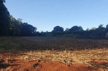 Área Rural à venda com 6.070m² no Interior em Guatambú - Foto 2