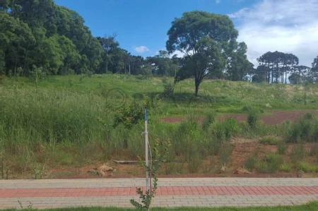 Terreno à venda com 712m² no Água Santa em Chapecó - Foto 1