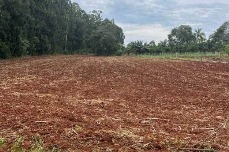 Área Rural à venda com 6.070m² no Interior em Guatambú - Foto 1