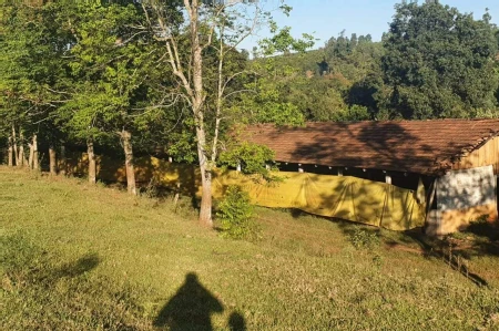 Área Rural à venda com 117.975m² no Interior em Chapecó - Foto 2