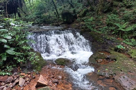 Área Rural à venda com 22.000m² no SEDE FIGUEIRA em Chapecó - Foto 7