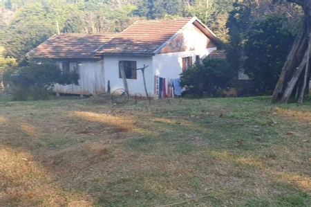 Área Rural à venda com 117.975m² no Interior em Chapecó - Foto 3