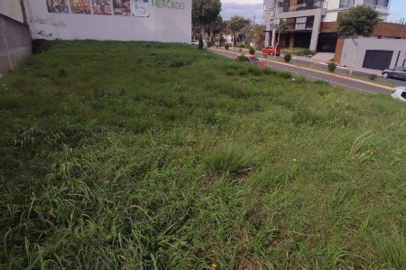 Terreno à venda com 382m² no Presidente Médici em Chapecó - Foto 4