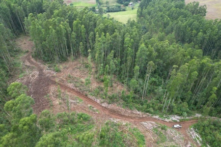 Área Rural à venda com 314.600m² na Linha Santos Dumont em Marema - Foto 8