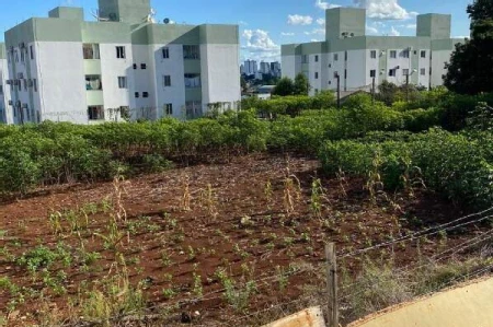 Terreno à venda com 1.449m² no Passo dos Fortes em Chapecó - Foto 4