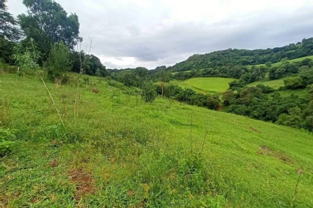 Área Rural à venda com 22.000m² no SEDE FIGUEIRA em Chapecó - Foto 6