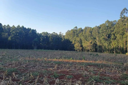 Área Rural à venda com 18.127m² no Área Rural de Chapecó em Chapecó - Foto 1