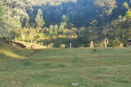 Área Rural à venda com 117.975m² no Interior em Chapecó - Foto 6