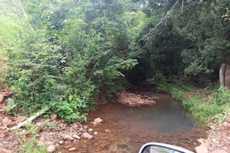 Área Rural à venda com 22.000m² no SEDE FIGUEIRA em Chapecó - Foto 5