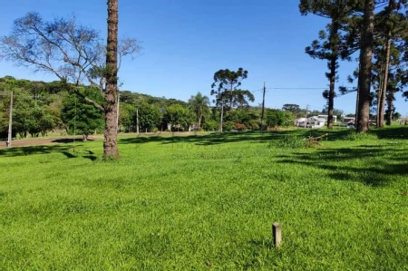 Terreno à venda com 1.000m² no Fazenda Guatapará em Chapecó - Foto 5