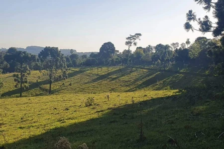 Área Rural à venda com 117.975m² no Interior em Chapecó - Foto 5