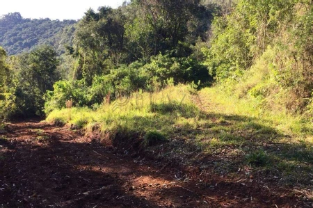 Área Rural à venda com 72.600m² no Interior em Arvoredo - Foto 2