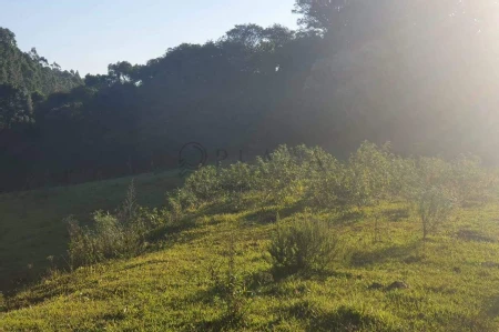 Área Rural à venda com 117.975m² no Interior em Chapecó - Foto 4