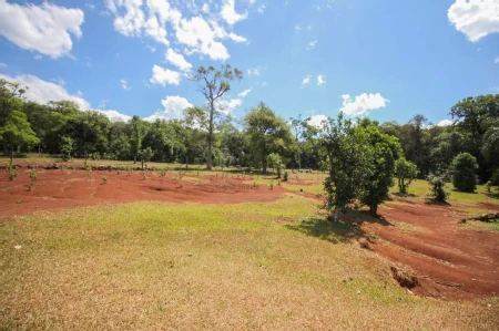 Chácara / Sítio à venda com 3 quartos, 24.200m² no Área Rural de Chapecó em Chapecó - Foto 4