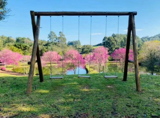 12688