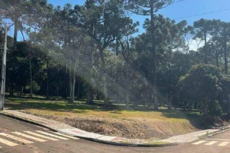 Terreno à venda no Guatambú em Chapecó - Foto 2