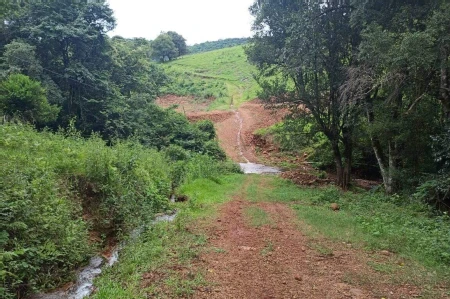 Área Rural à venda com 22.000m² no SEDE FIGUEIRA em Chapecó - Foto 2