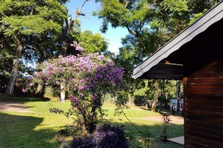 Terreno à venda com 12.000m² no Passo dos Fortes em Chapecó - Foto 6