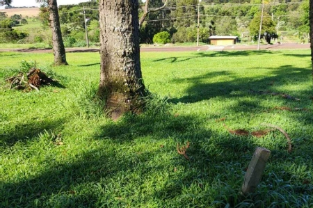 Terreno à venda com 1.000m² no Fazenda Guatapará em Chapecó - Foto 7