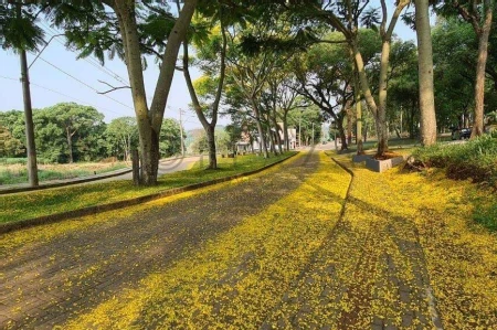 Terreno à venda com 1.664m² no Loteamento Don Guilherme em Guatambú - Foto 1