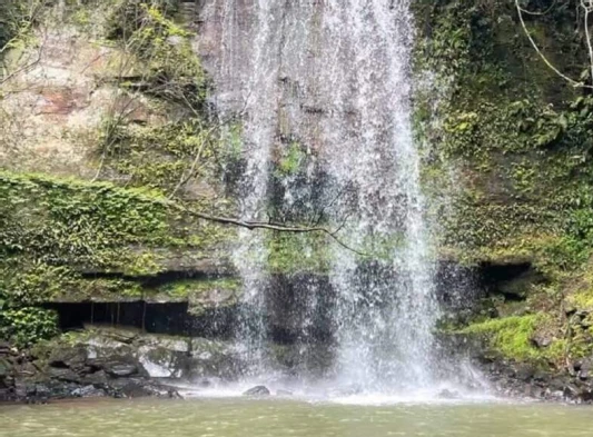 12282