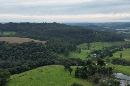 Área Rural à venda com 314.600m² na Linha Santos Dumont em Marema - Foto 2