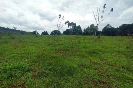 Área Rural à venda com 22.000m² no SEDE FIGUEIRA em Chapecó - Foto 8