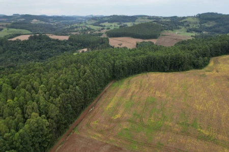 Área Rural à venda com 185.089m² na Linha Balisa Interior em Marema - Foto 1