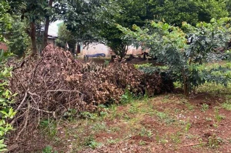 Terreno à venda com 800m² no Passo dos Fortes em Chapecó - Foto 3