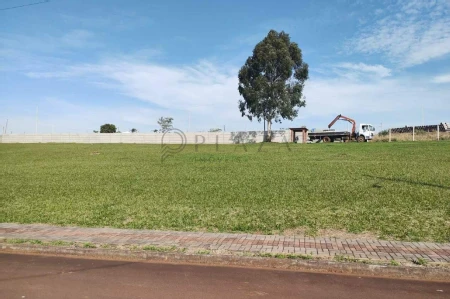 Terreno à venda com 1.000m² no Condomínio Guatapará em Chapecó - Foto 2