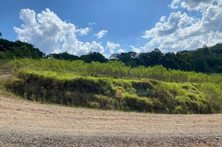 Terreno para alugar com 16.000m² no Cordilheira Alta em Chapecó - Foto 1