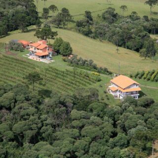Área Rural à venda com 238.026m² no Cambara em Chapecó – Foto 1