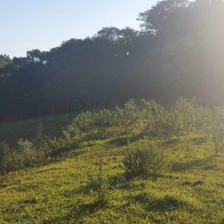 Área Rural à venda com 117.975m² no Interior em Chapecó – Foto 4