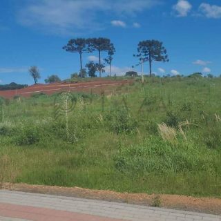 Terreno à venda com 1.104m² no Água Santa em Chapecó - Foto 1