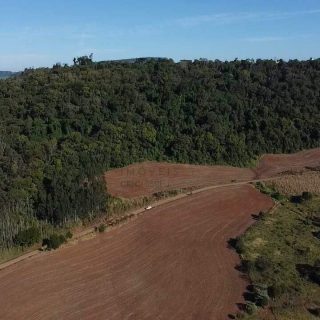 Área Rural à venda com 93.527m² na Linha Rodeio Bonito em Chapecó – Foto 3
