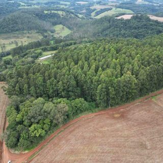 Área Rural à venda com 185.089m² na Linha Balisa Interior em Marema – Foto 2