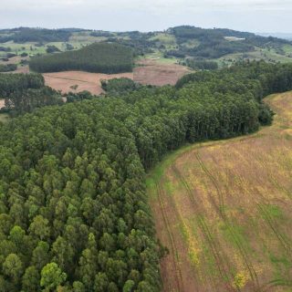 Área Rural à venda com 185.089m² na Linha Balisa Interior em Marema – Foto 6