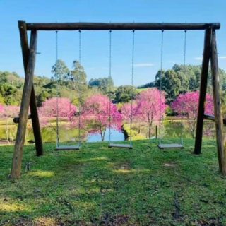 Terreno em condomínio à venda com 1.053m² no Espelho Das Águas em Chapecó - Foto 1