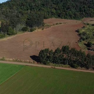 Área Rural à venda com 93.527m² na Linha Rodeio Bonito em Chapecó – Foto 5
