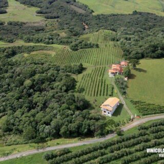 Área Rural à venda com 238.026m² no Cambara em Chapecó – Foto 5