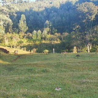Área Rural à venda com 117.975m² no Interior em Chapecó – Foto 6