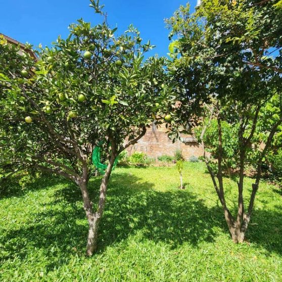 9345 – Foto 19